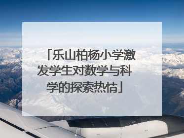 乐山柏杨小学激发学生对数学与科学的探索热情